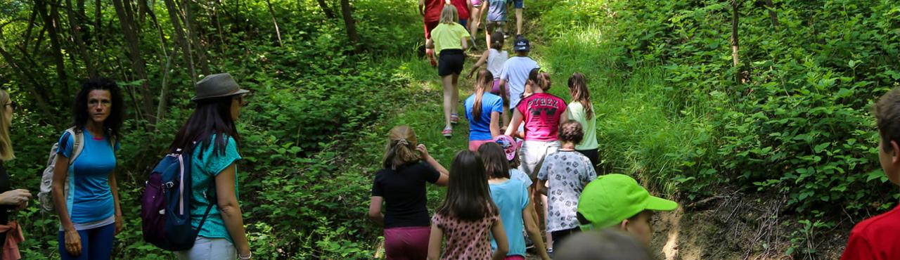 Visita naturalistica alla riserva dei Ciciu del Villar - 22 giugno